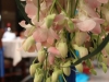 柱台上的花儿